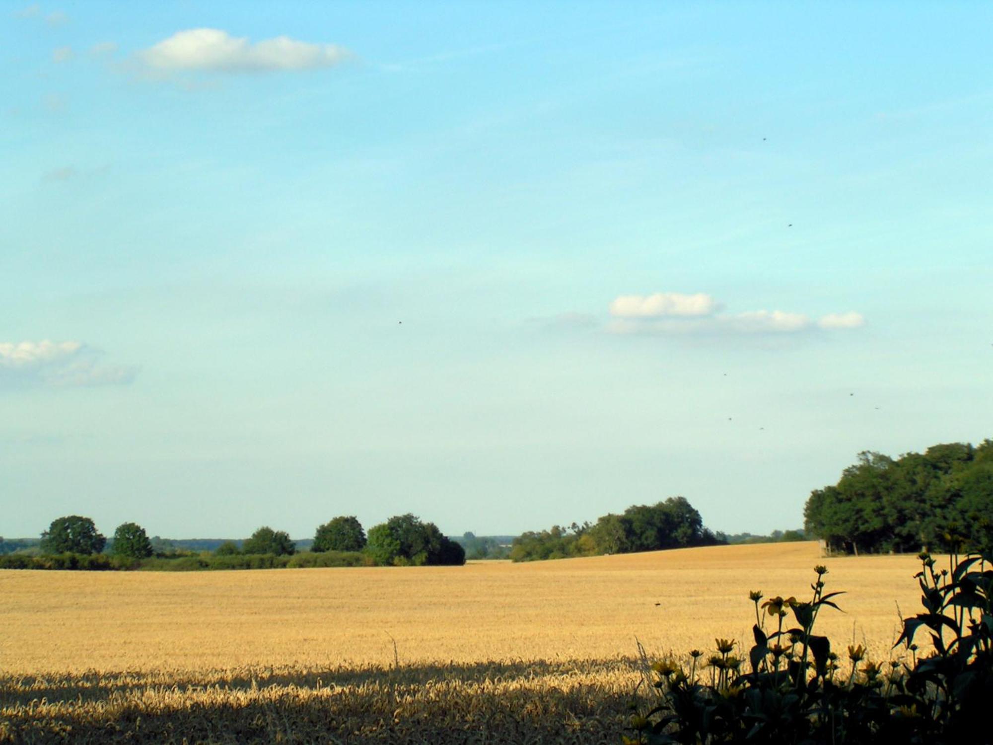 Hof Sorgenlos Gross Gievitz Quarto foto