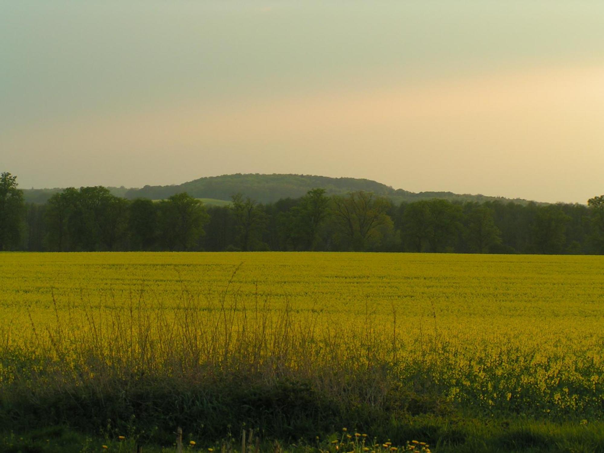 Hof Sorgenlos Gross Gievitz Quarto foto